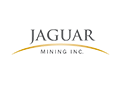 Jaguar Mining